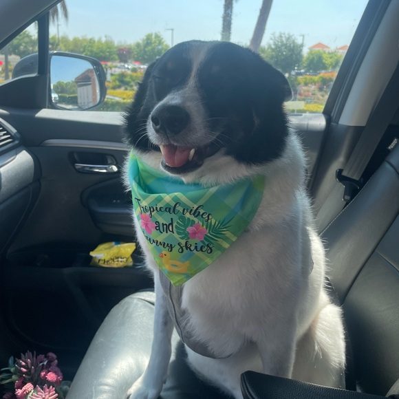 Meet Your Seller! - Picture 4 of 4